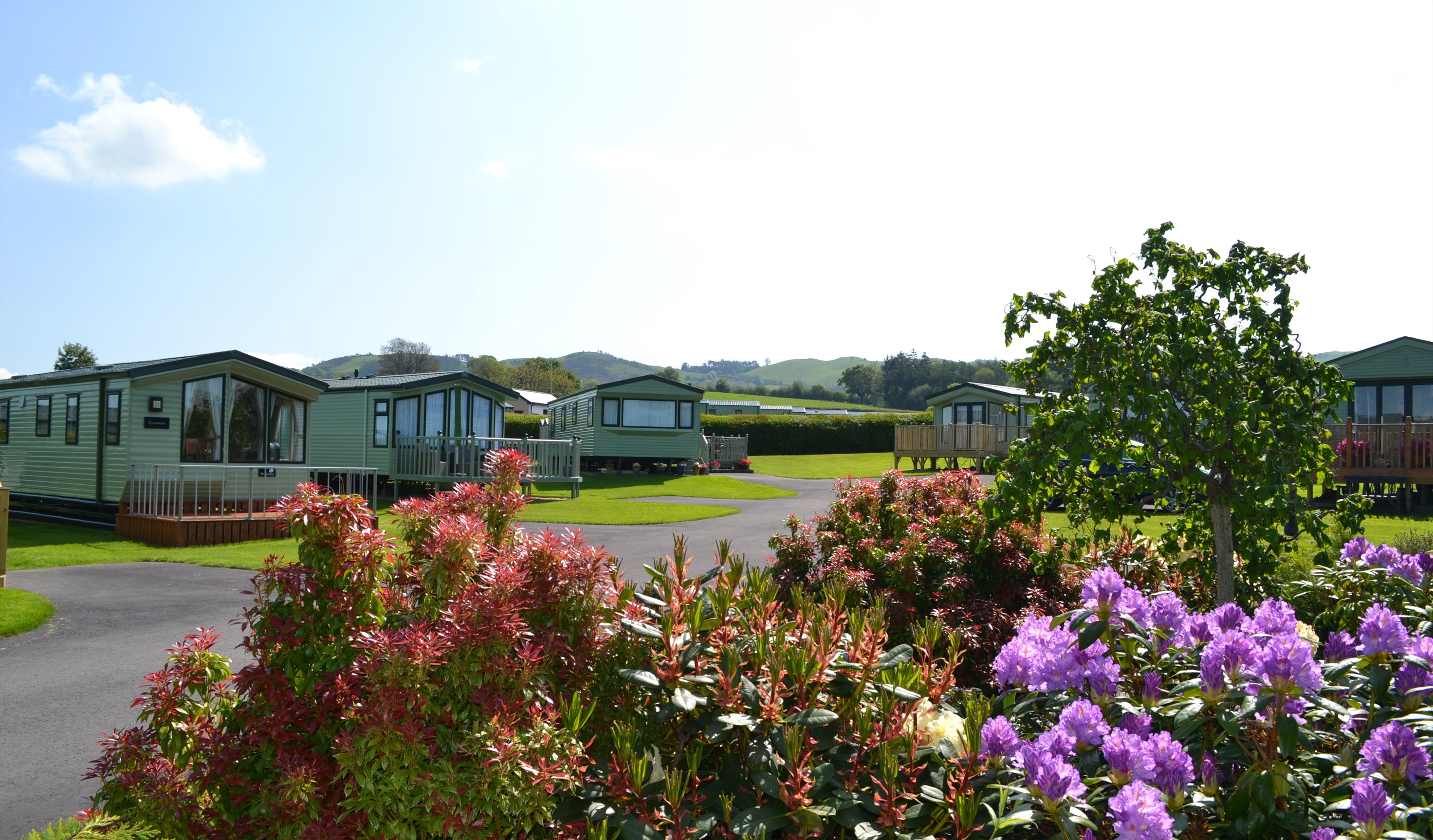 Gellidywyll holiday home park