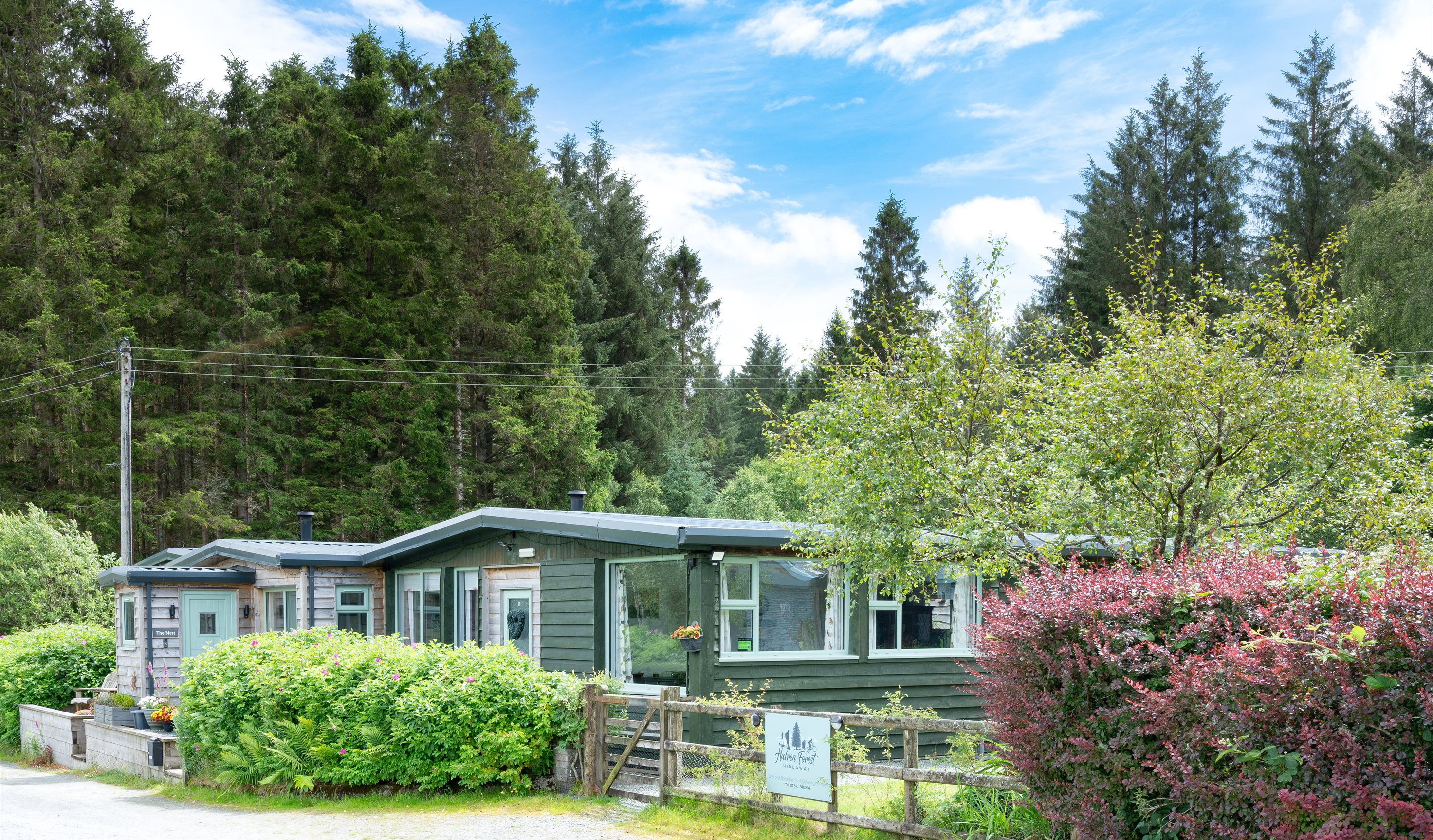 Hafren Forest Hideaway Bed and Breakfast, for solo travellers and small groups