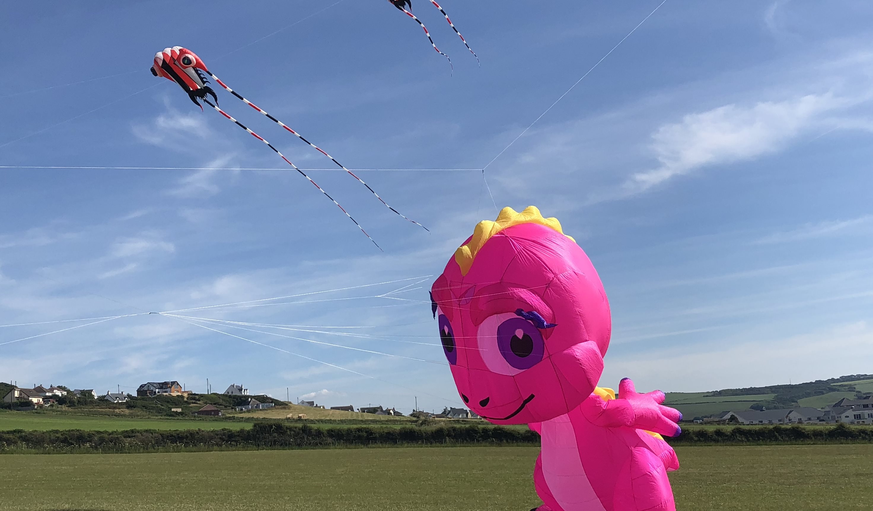 Let's go fly a kite!