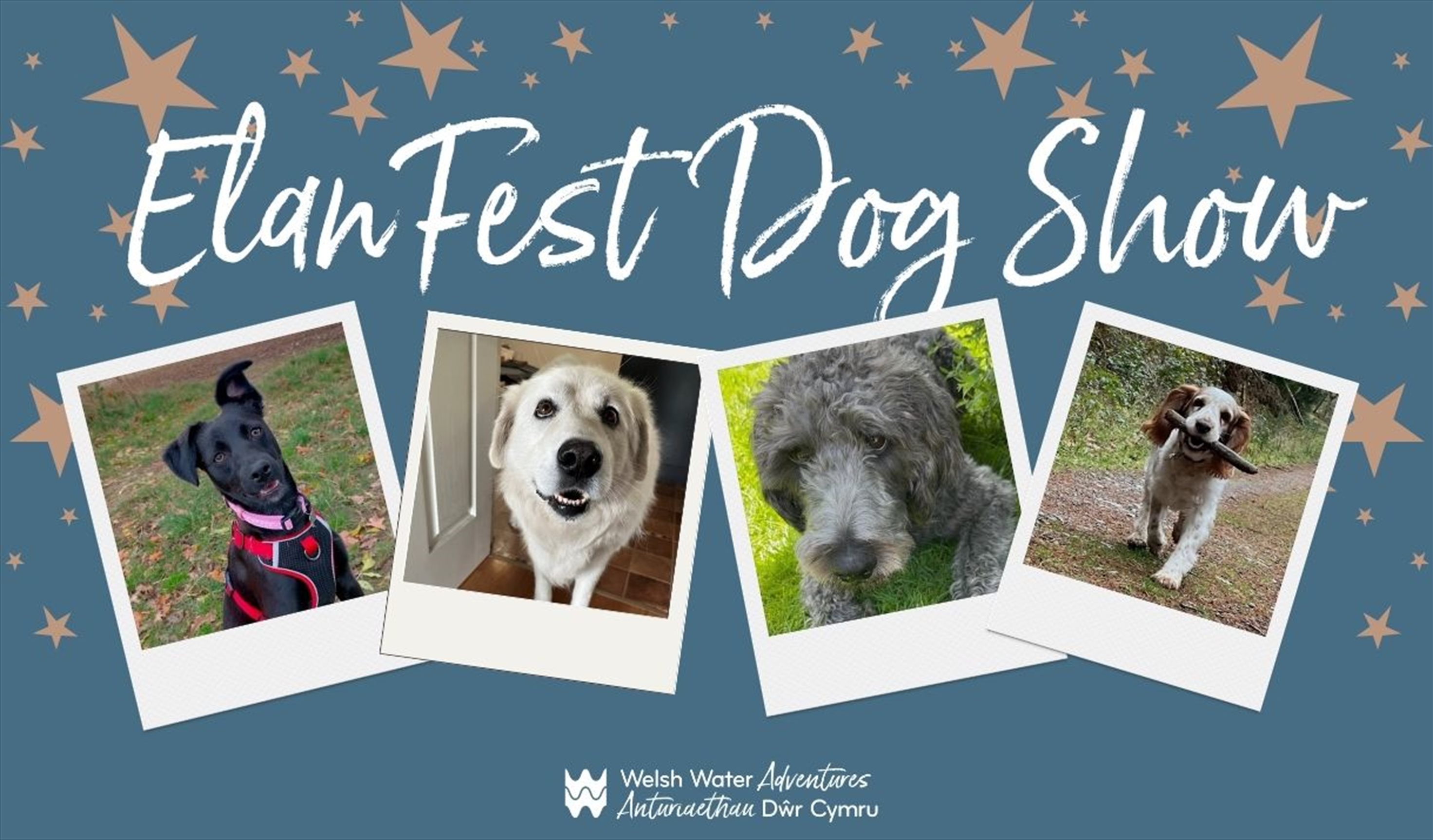 Elan Valley Fun Family Dog Show