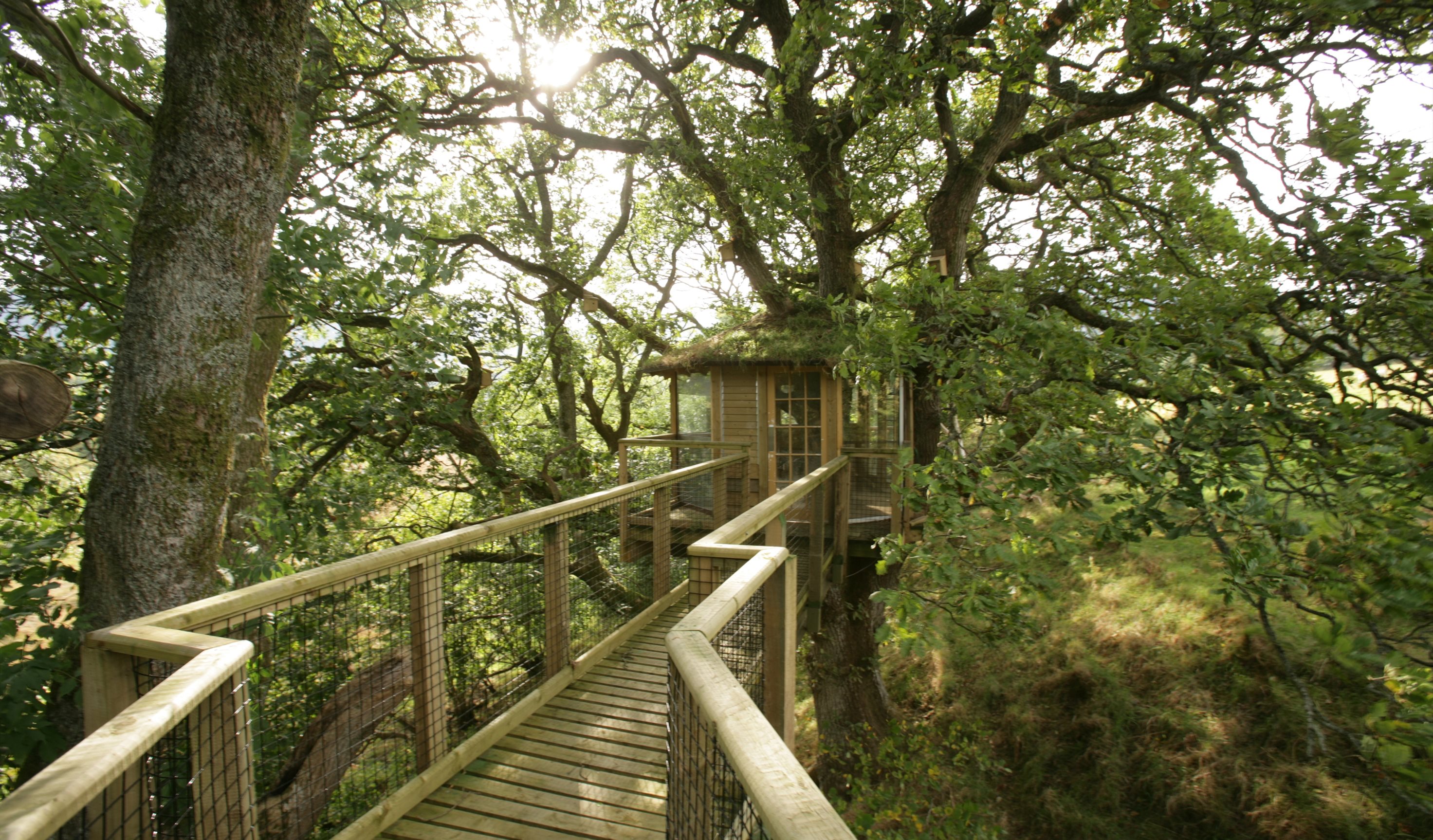 Nannerth Private Nature Reserve | Treehouse Hide