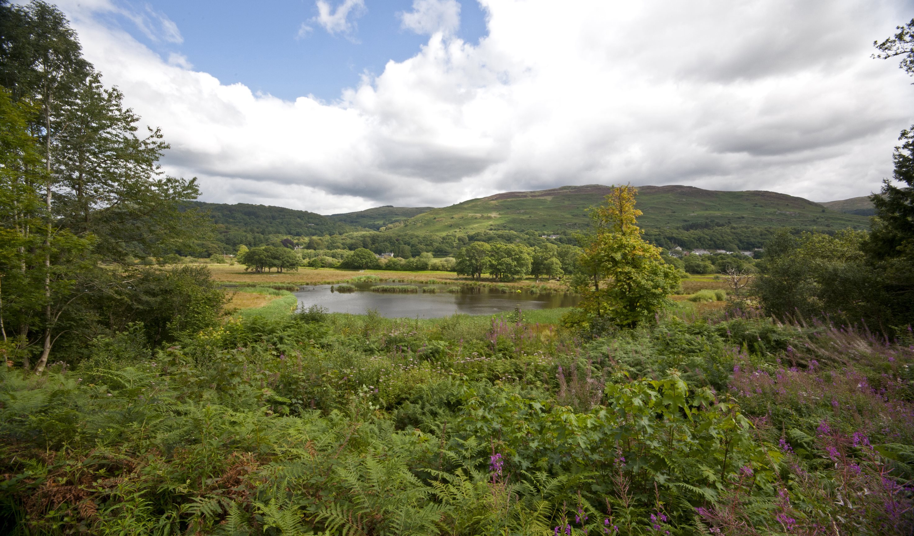 RSPB Ynys-hir