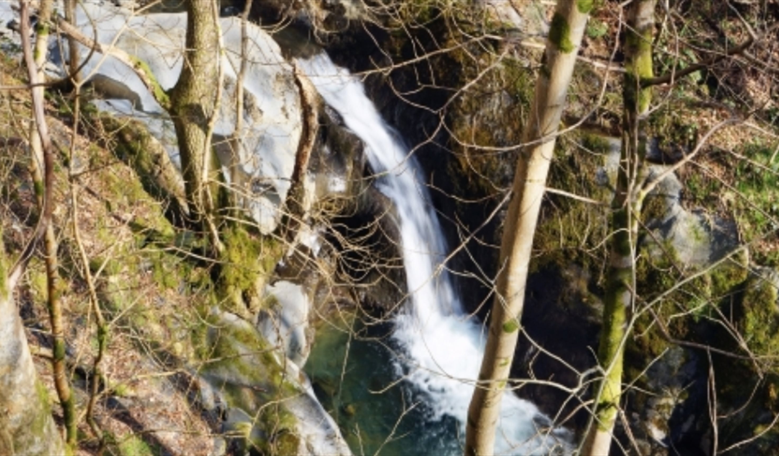 Abercorris Nature Reserve