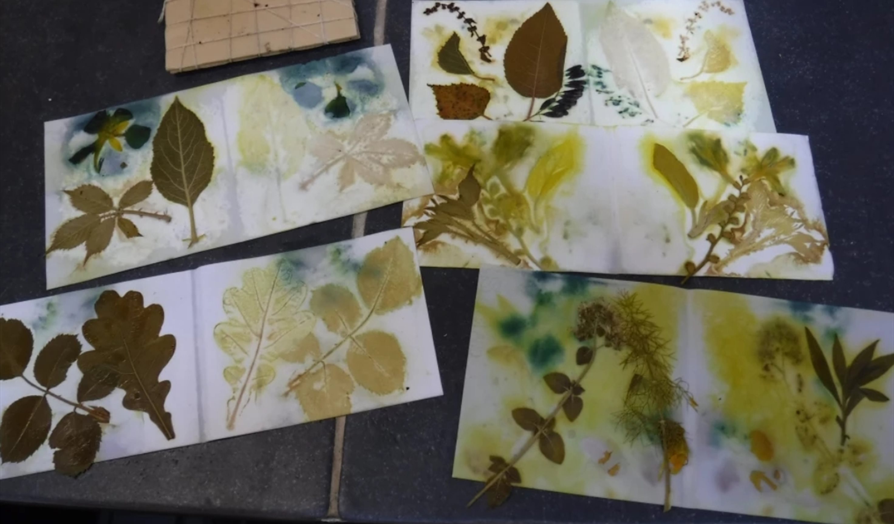 National Wool Museum - Botanical Printing Workshop