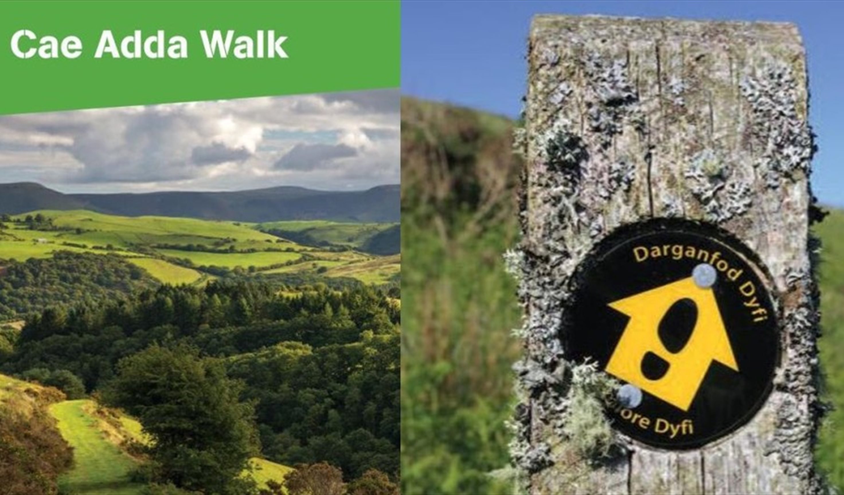 Dyfi Discovery Walk | Cae Adda Walk