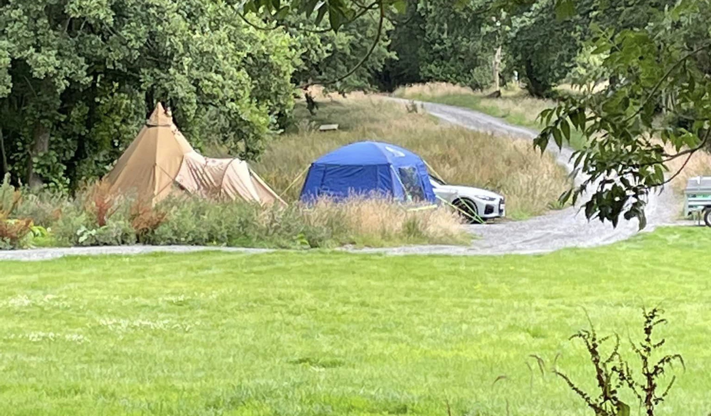 Campervan Pitches, Ty Llewelyn Camping, Llanidloes