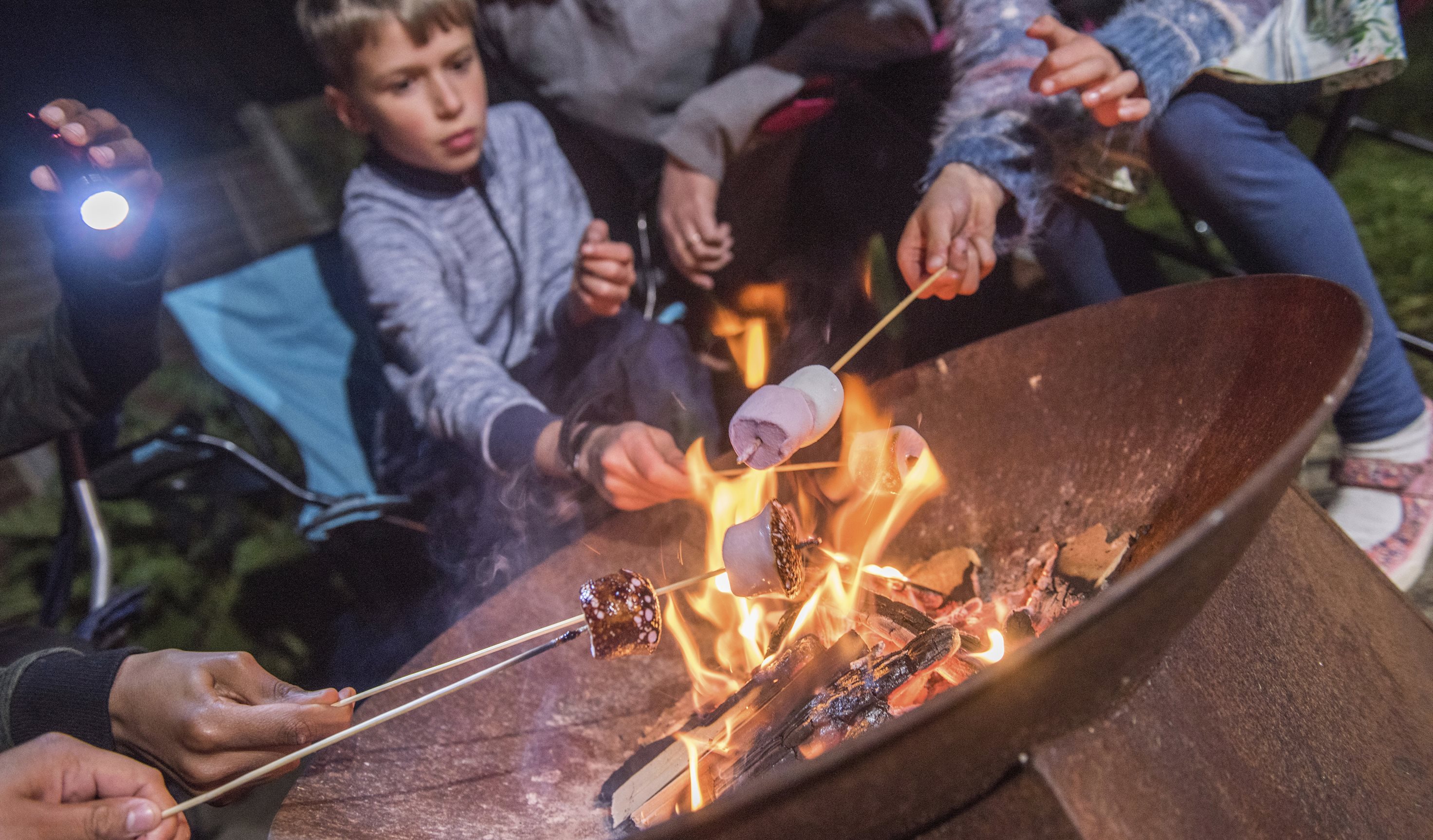 RSPB Images campfire fun