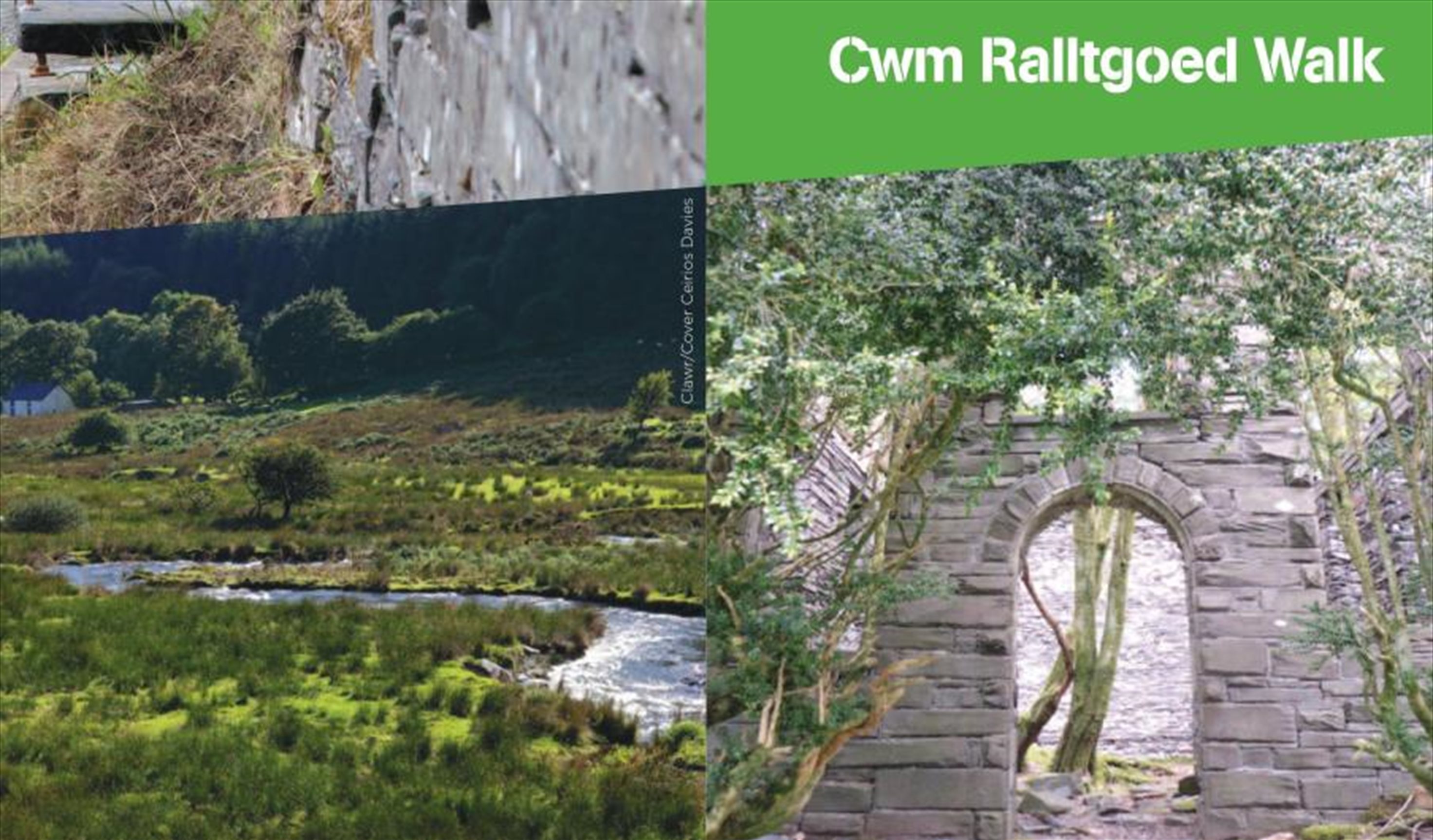 Dyfi Discovery Walk | Cwm Ralltgoed Walk
