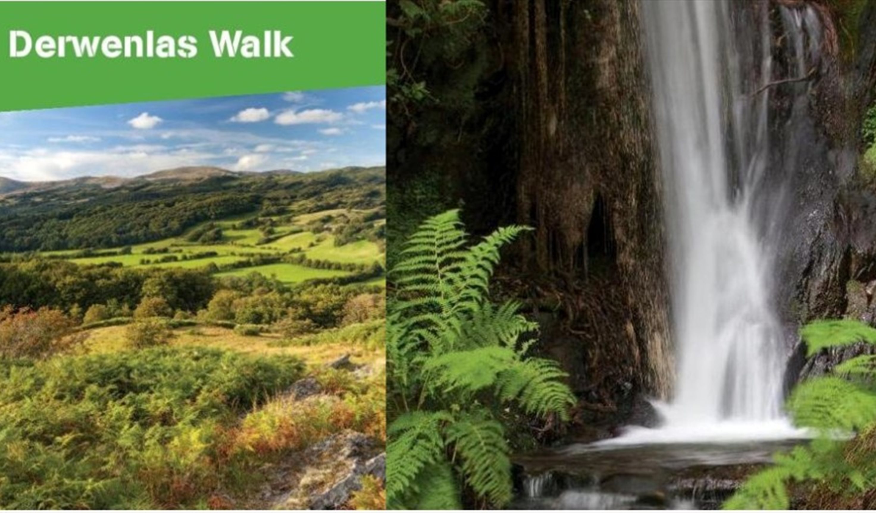 Dyfi Discovery Walk | Derwenlas Walk