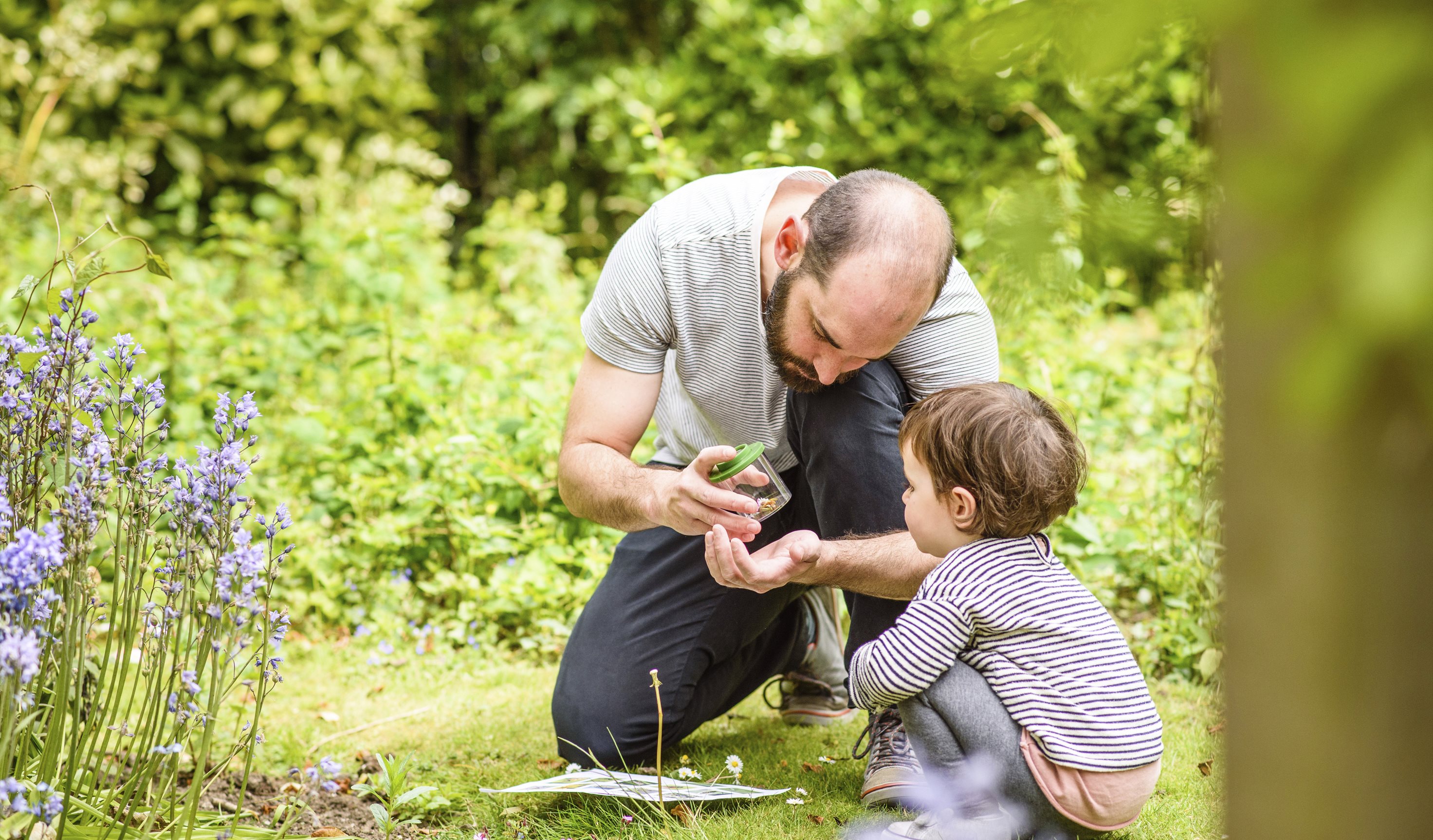 Dad and Child Bug Hunting