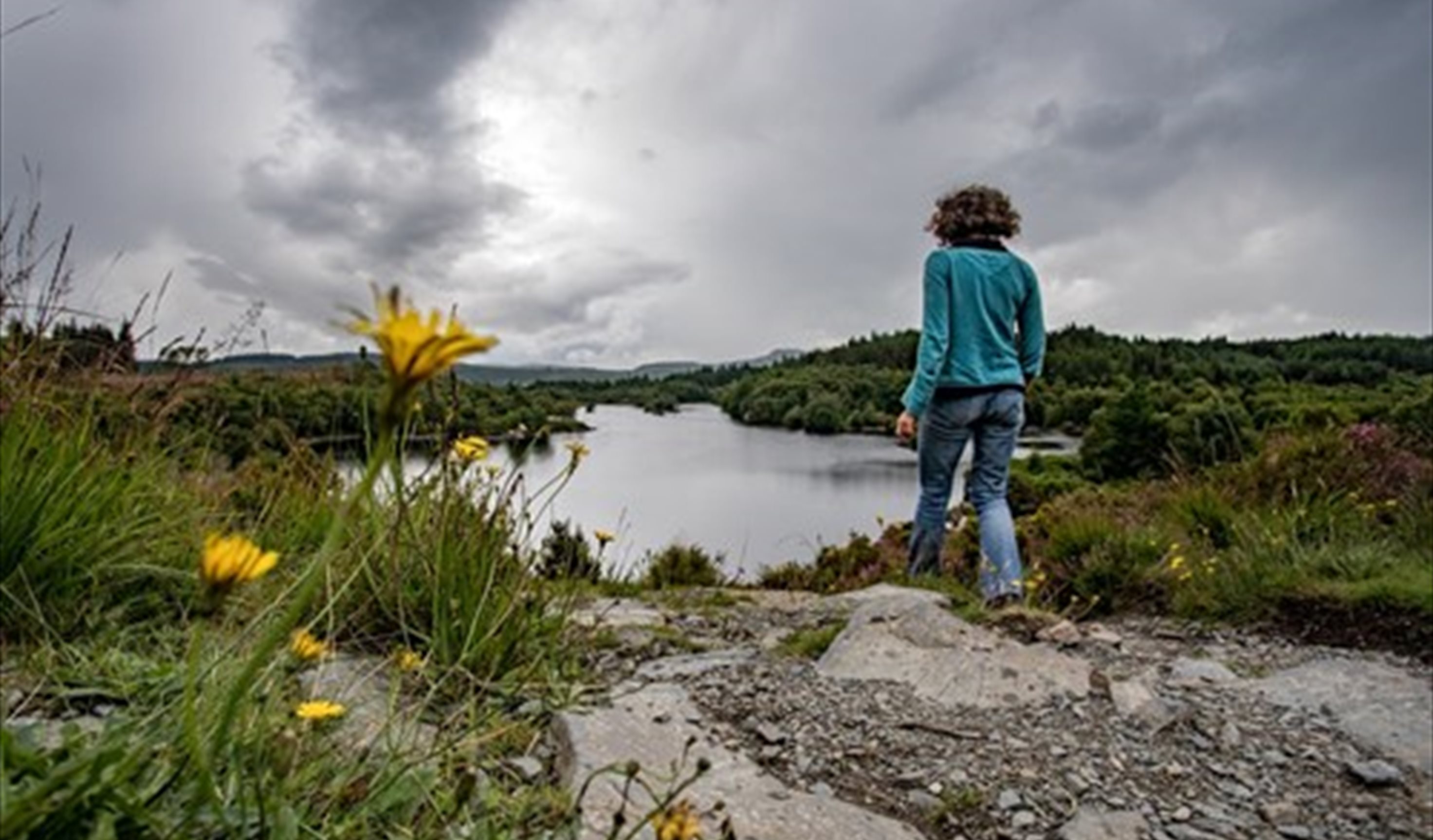Llyn Elsi Trail