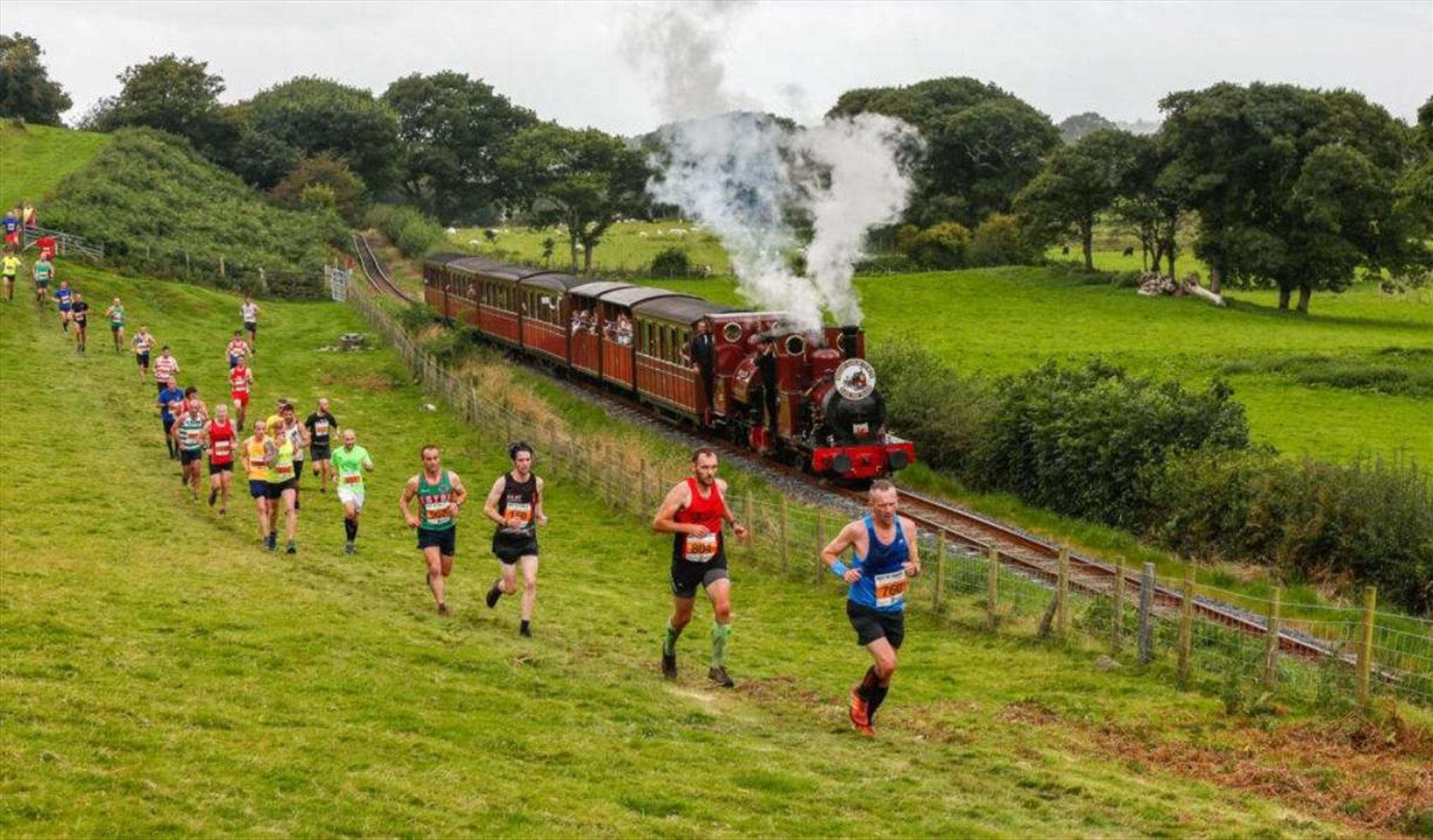 Race the Train