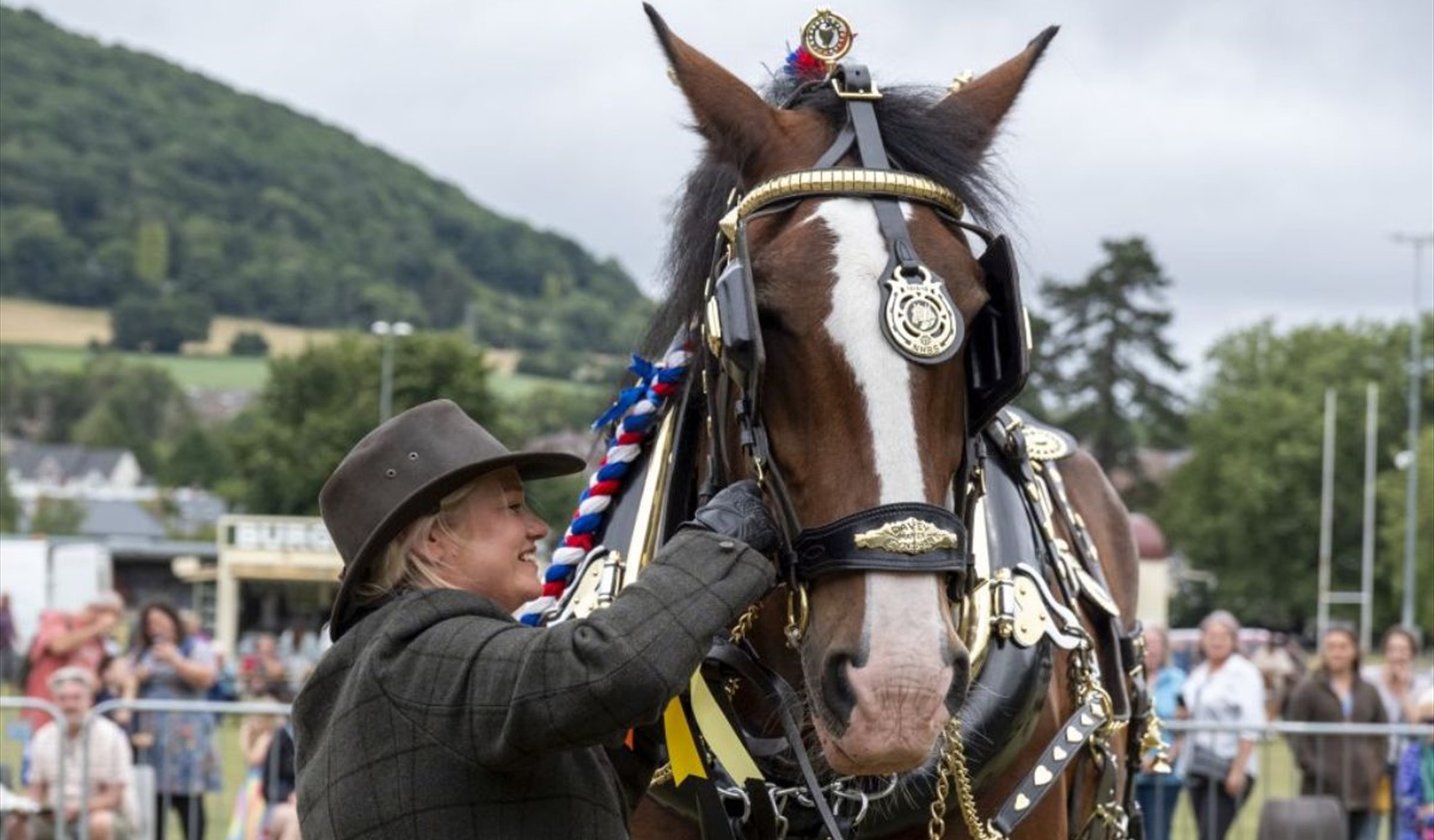 The South Wales Shire Horse Show
