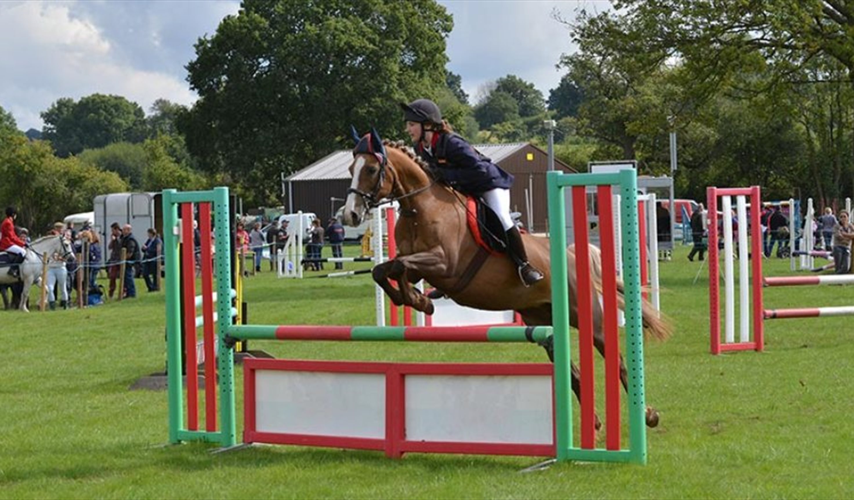 Show jumping at Usk Show
