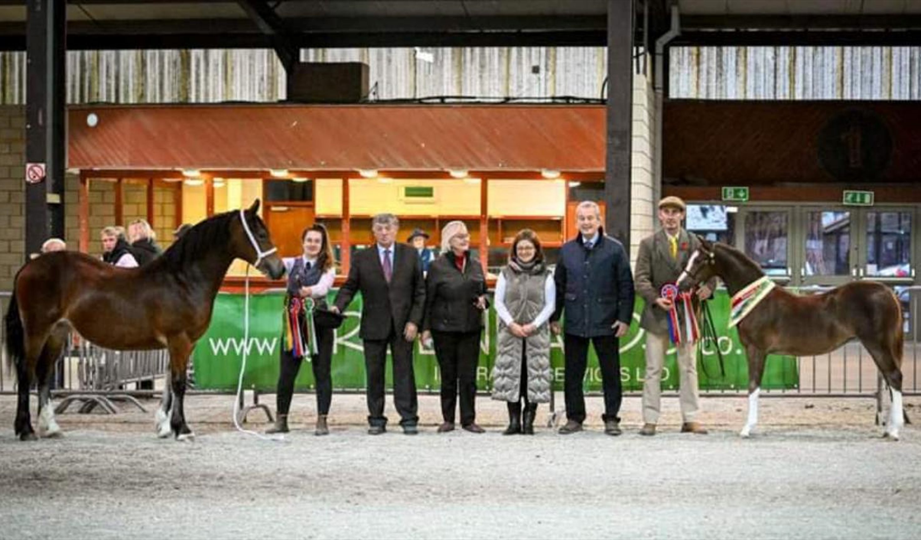 Welsh National Foal & Yearling Show