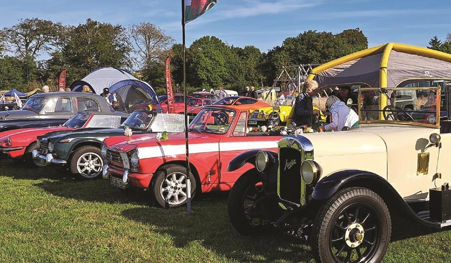Classic Car Show & Dog Show