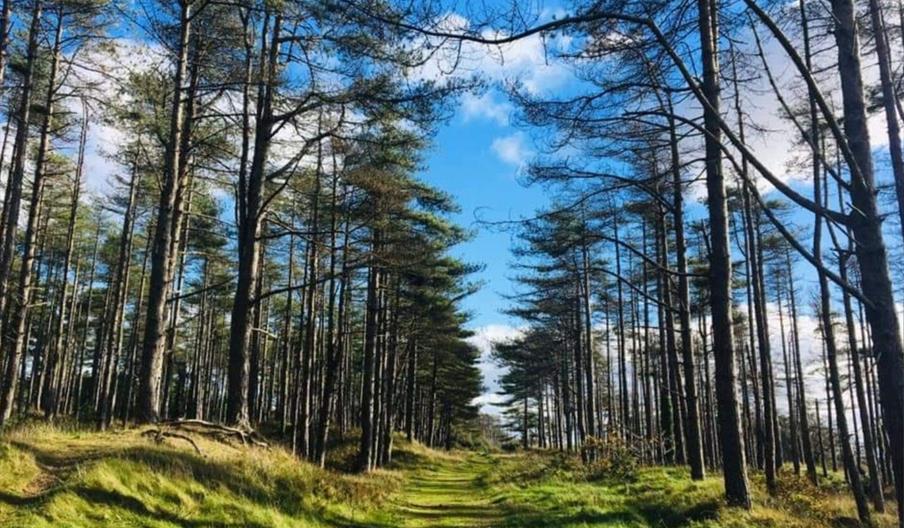 Pembrey Country Park