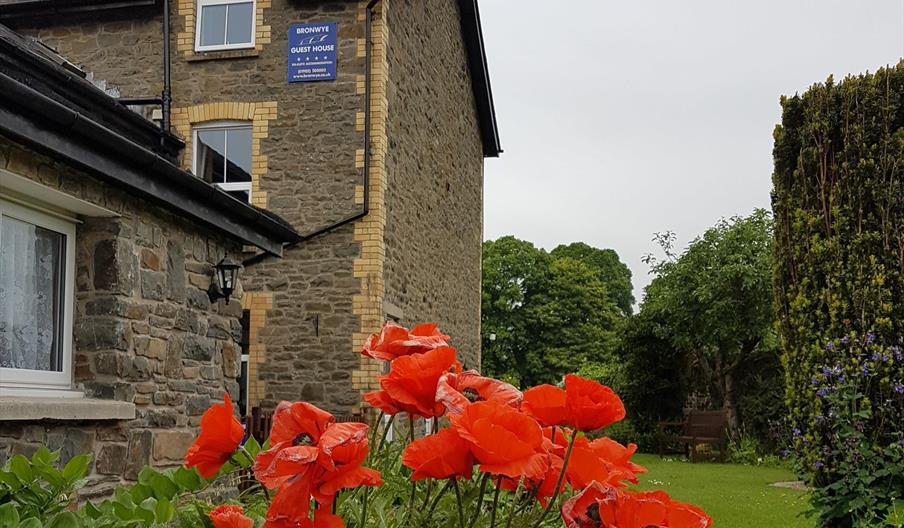 Bronwye Guest House