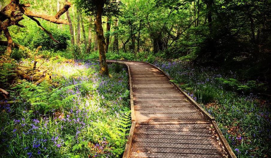 Bryngarw Country Park