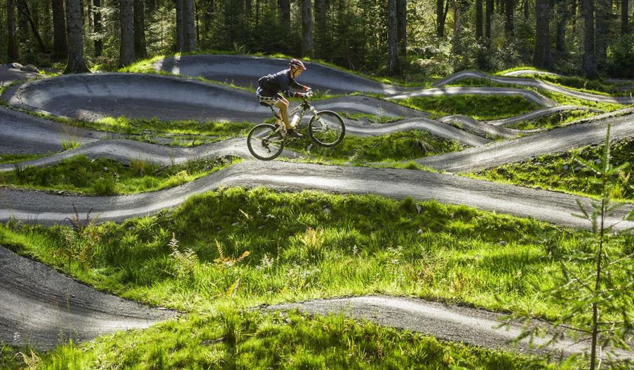 Coed Y Brenin Mountain Biking