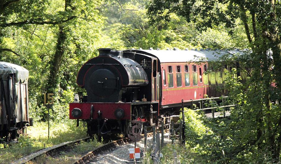 Gwili Steam Railway