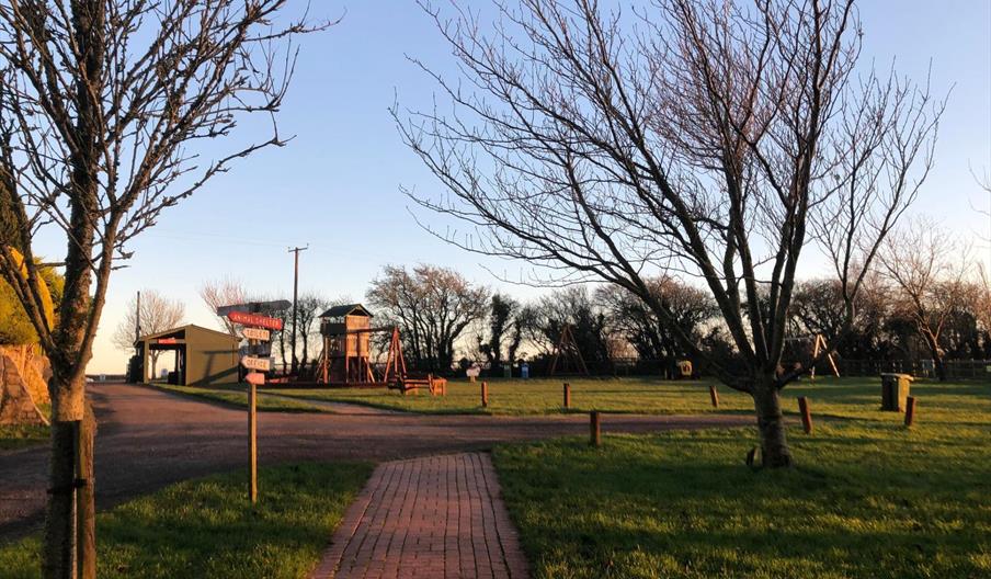 A red brick path leading to an outdoor park. Trees are in the foreground and golden light covers the area.