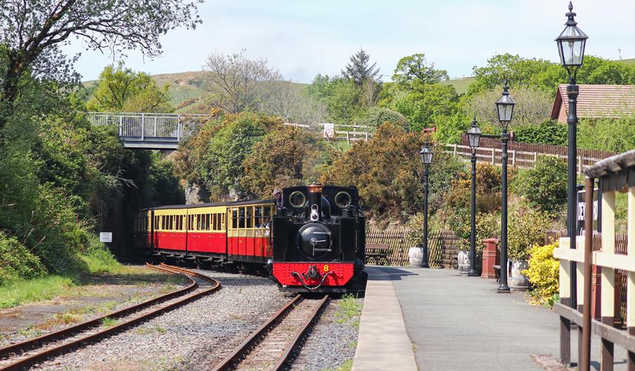 Vale of Rheidol Railway | Weddings