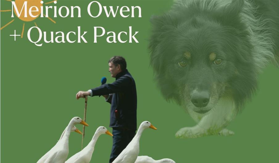 Meirion Owen and the Quack Pack at Cardigan Castle