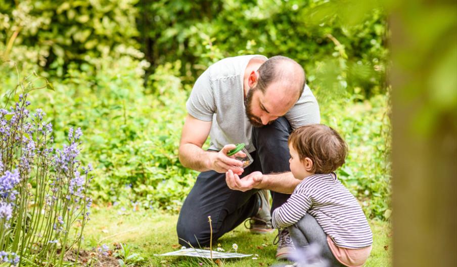RSPB Images Dad and Child