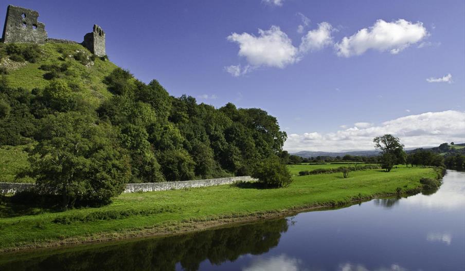 Dryslwyn Castle (Cadw)