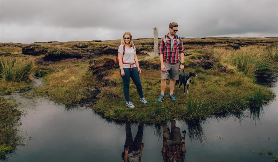 Hafren Forest | The source of the River Severn