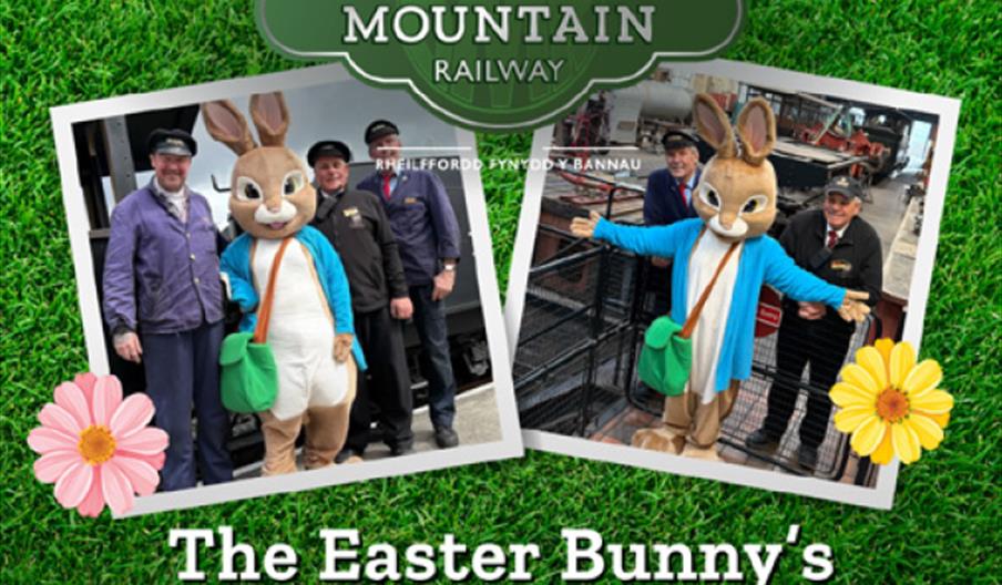 Easter Bunny at the Brecon Mountain Railway