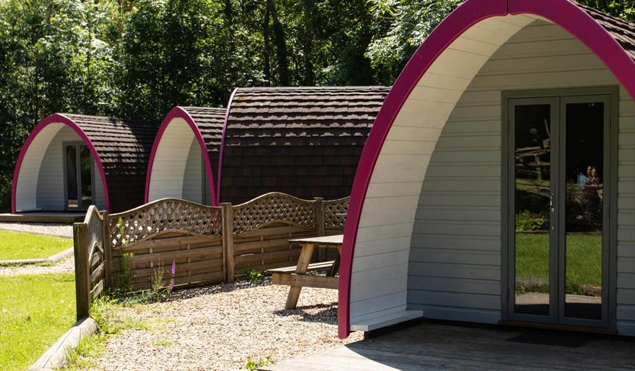Cwmcarn Forest Glamping & Campsite