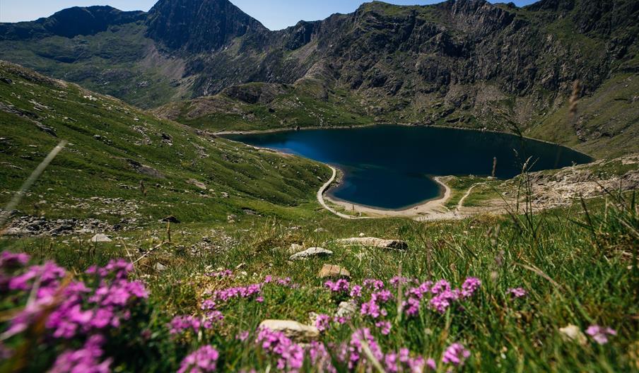 Yr Wyddfa (Snowdon) near summit