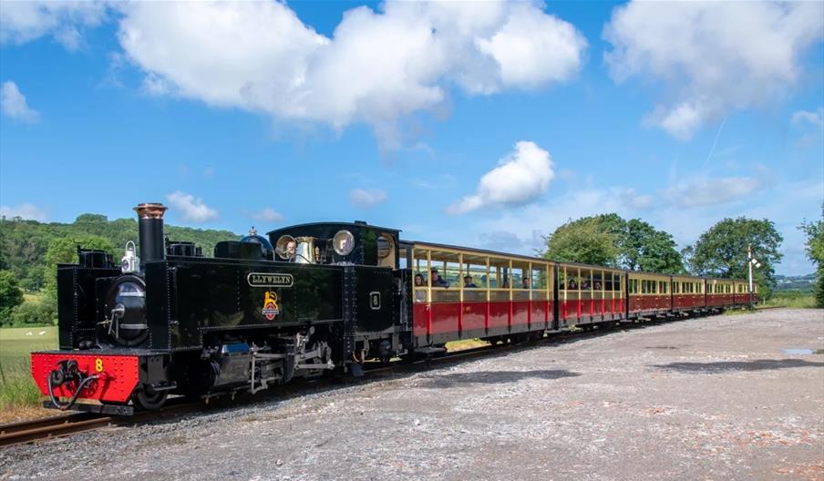 Vale of Rheidol Railway Half Term Tains Aberystwyth to Capel Bangor