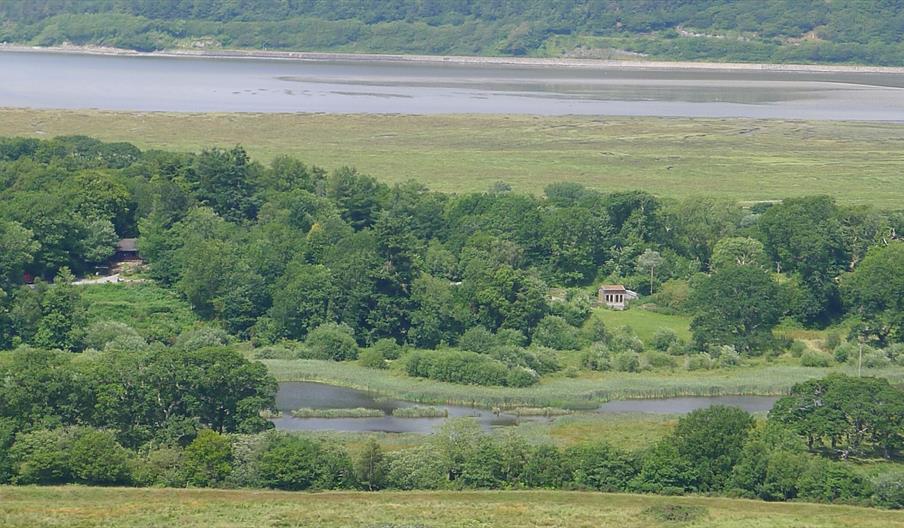 RSPB Ynys-hir