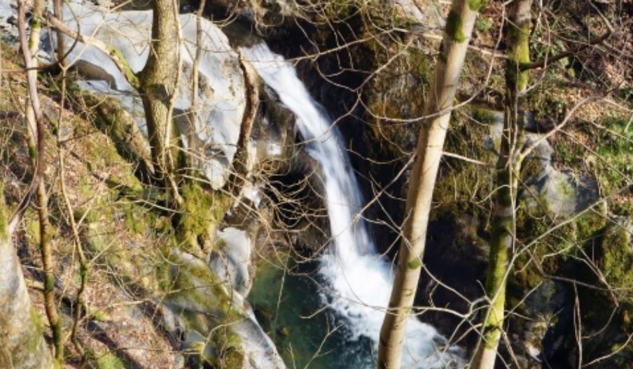 Abercorris Nature Reserve