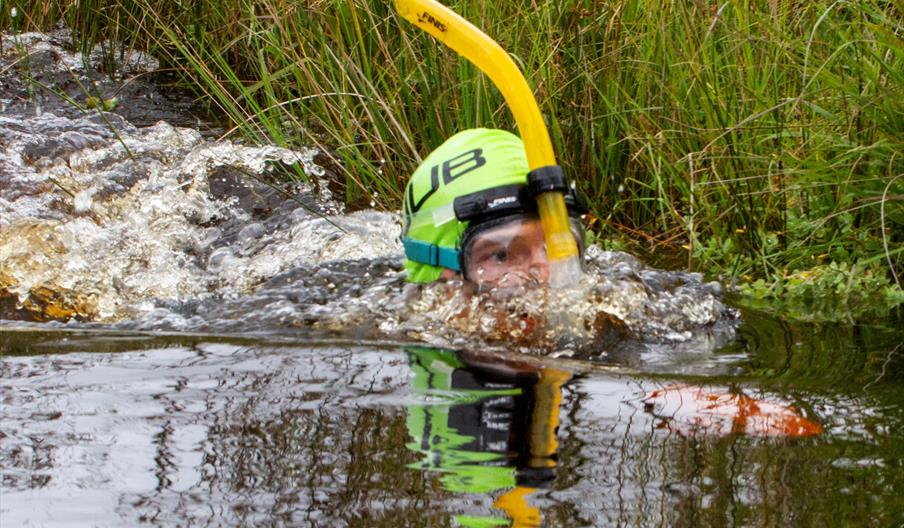 World Bog Snorkelling Championships