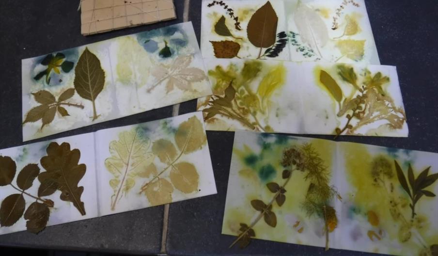 National Wool Museum - Botanical Printing Workshop