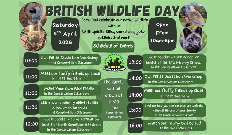 British Wildlife Day Schedule of events.