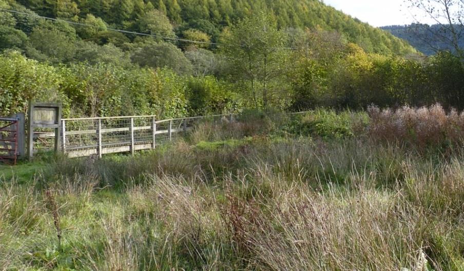 Burfa Bog Nature Reserve