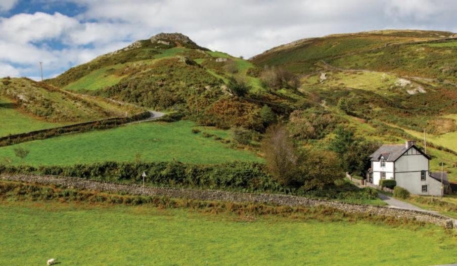 Dyfi Discovery Walk | Cwrt Walk