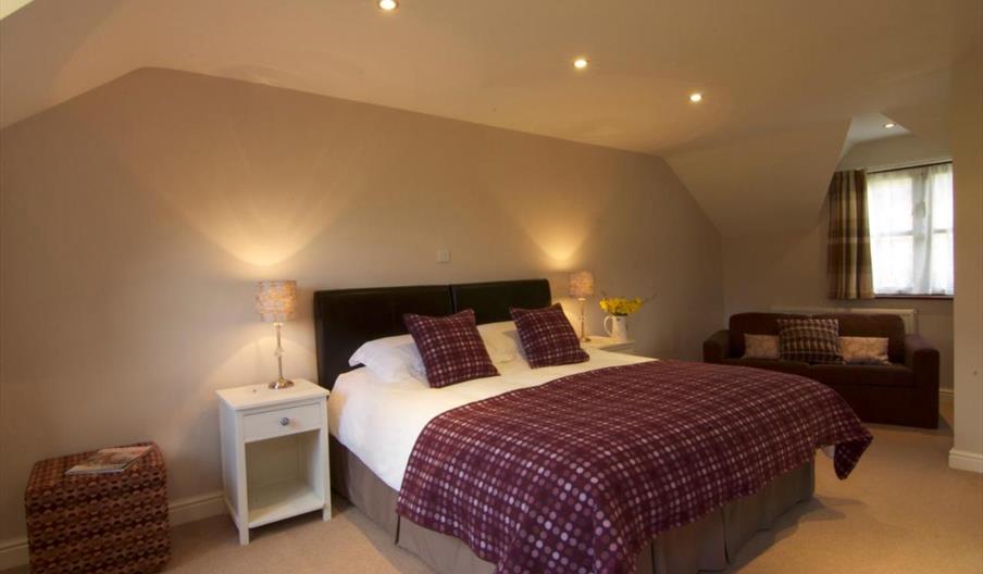 Dolffanog Fawr - double room