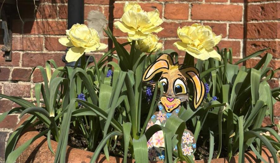 Gregynog Easter Trail - find the easter bunny and eggs