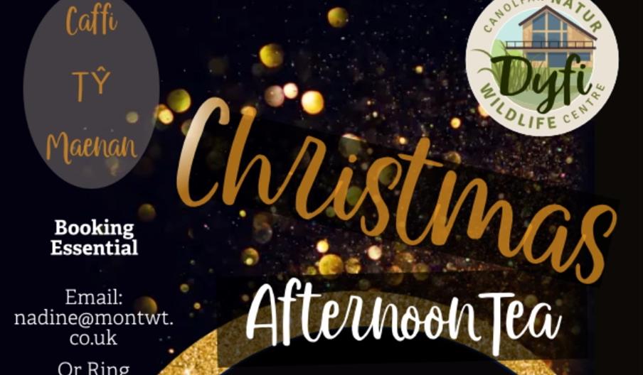 Festive Afternoon Tea at Dyfi Wildlife Centre