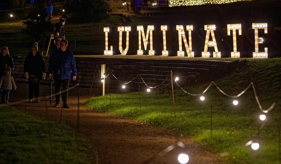 Luminate Margam Country Park