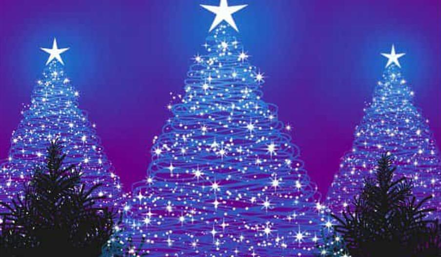 Machynlleth Christmas Tree Lighting Ceremony