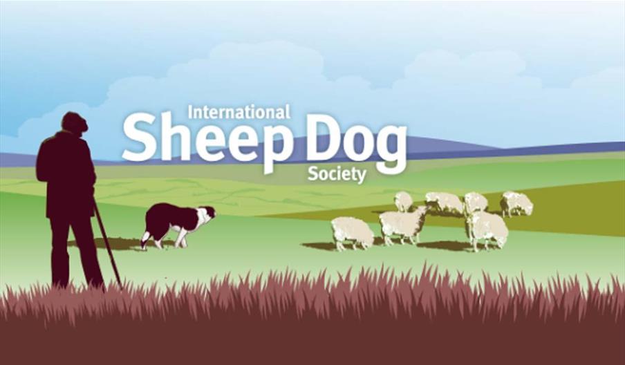 Sheepdog Welsh National Trials 2025