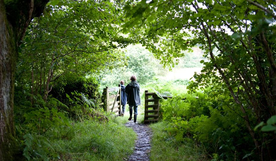 Woodland Walk