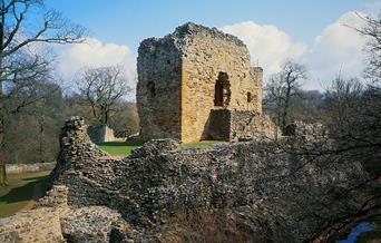 Ewloe Castle (Cadw)